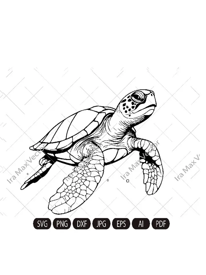 Turtle Svg, Turtle Clipart, Turtle Png, Turtle Head, Turtle vector , Turtle Silhouette, Animals Silhouette, reptile svg, Sea turtle