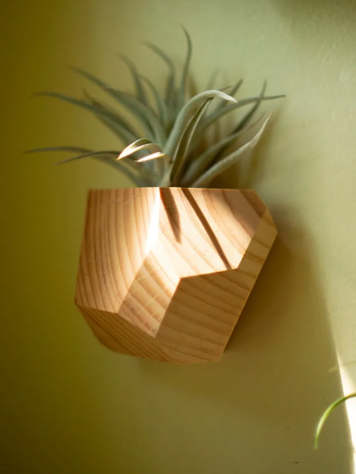 Set of 4 Hemlock Geometric Air Plant Holder