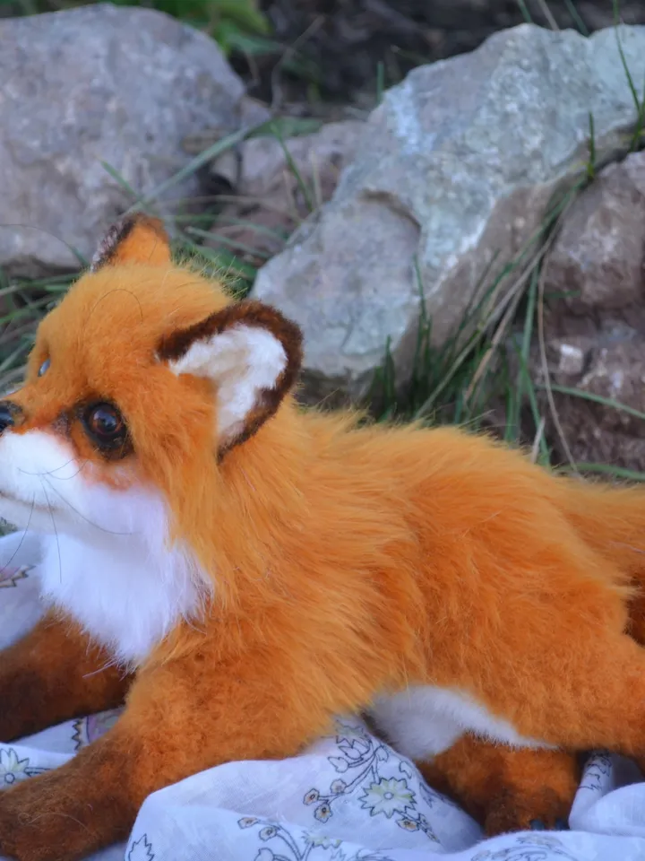 Little fox.