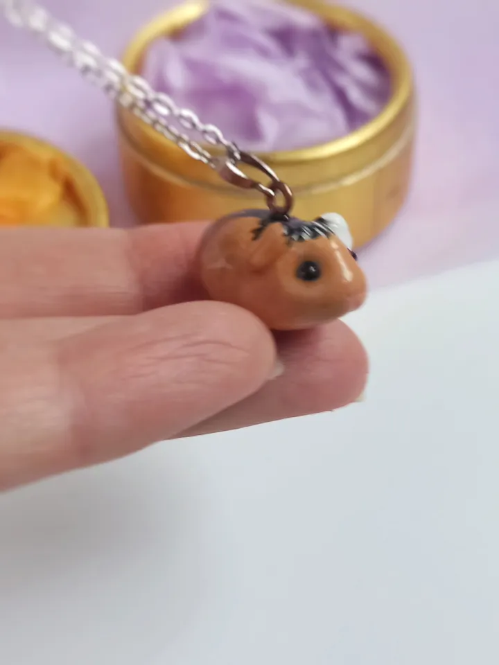 a Guinea pig necklace (US discount)
