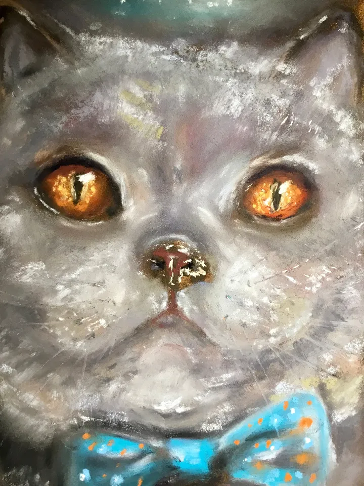British cat with a bow tie original spft pastel painting on pastel cardboard,funny animals painting,cats painting,cat lovers gift,wall art.