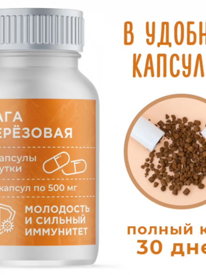 Birch Chaga, 60 capsules of 500 mg each