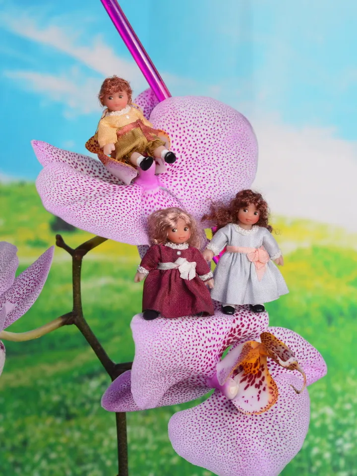 Miniature doll in 1/24 scale.  Doll toy to doll house.