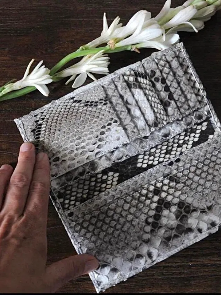 Genuine python skin flat unisex gray uncolored wallet / small money reptile purse / exotic leather snakeprint / cardholder gift idea