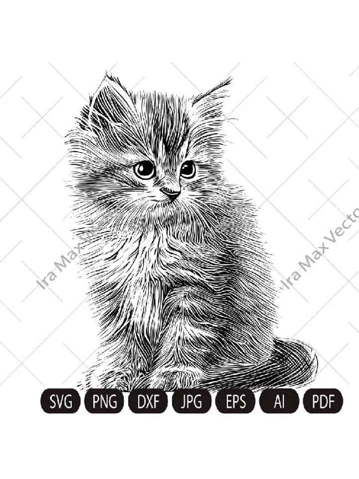 Cat baby Svg, cute kitten svg, kitten sitting, cute cat face svg, cat faces svg, face svg, cat svg bundle, cat image, kitten svg cut, dxf