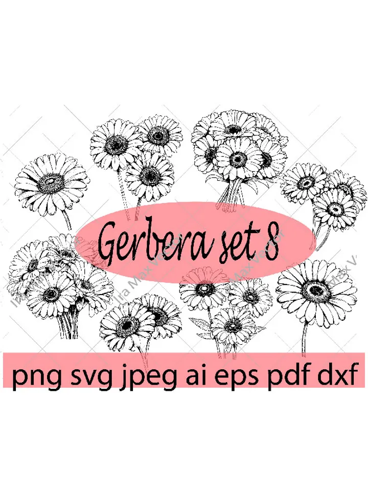 Gerbera svg, Daisy svg, Cute Wildflower, Gerbera set, Botanical Floral Clipart, Garden Plant Silhouette, Wedding Vinyl Cut file
