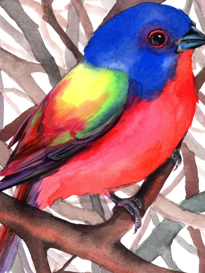 Original watercolor bird , birds painting, wall decor, birds lover gift, 8x11 in handmade art by Anne Gorywine