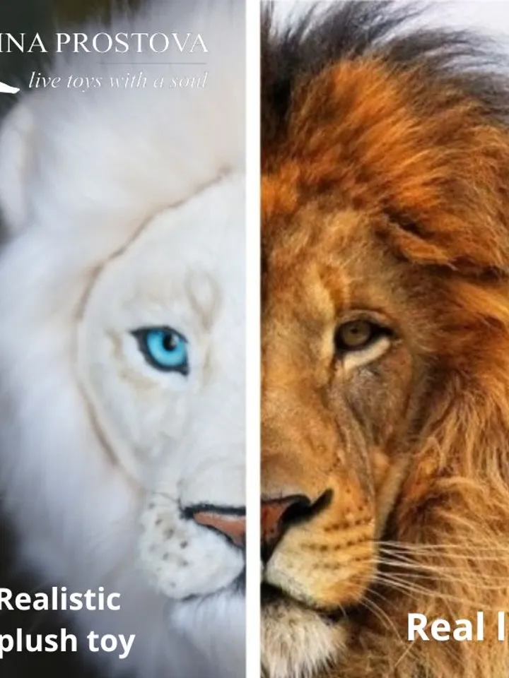 White lion