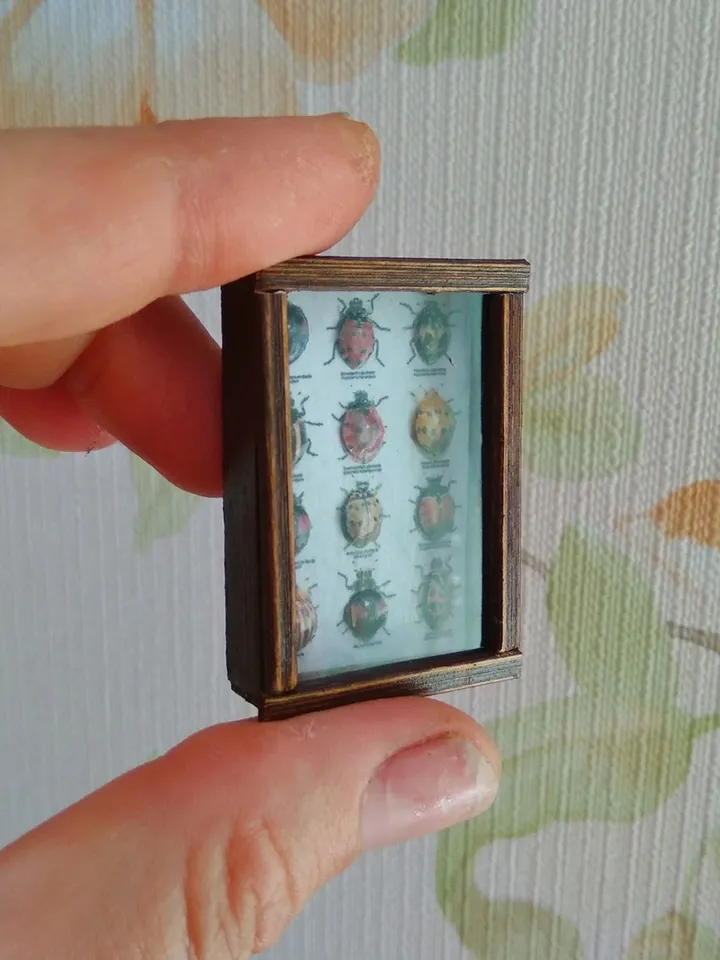 Collection of butterflies under glass for dollhouses.1:12 scale.
