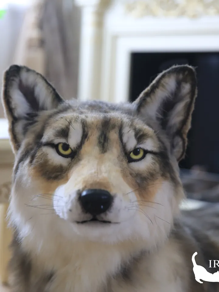 Wolf realistic plush animals. Ooak toy. Wolf stuffed toy