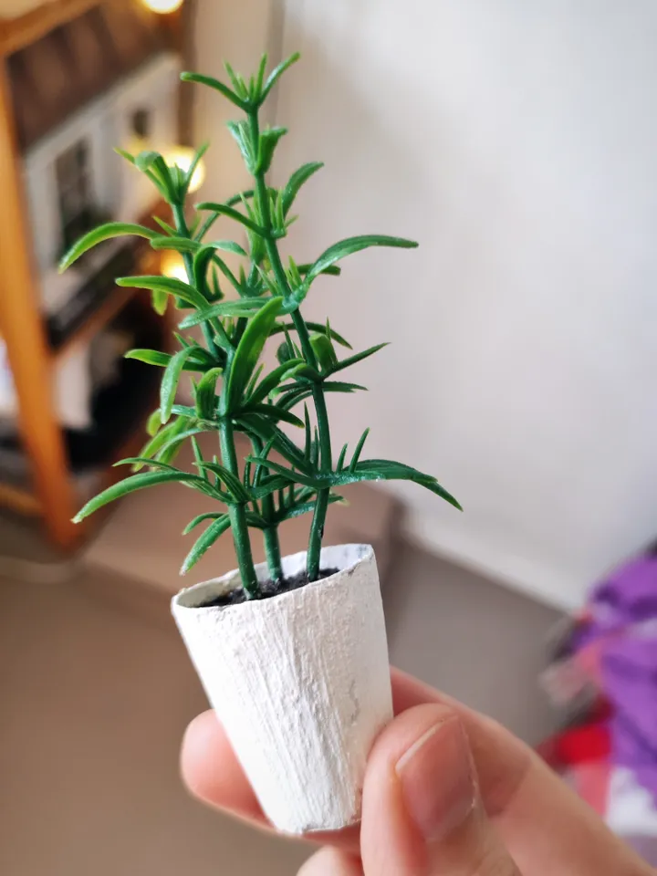 Miniature Dollhouse Indoor Plants Set with Shelf 1/6 Scale