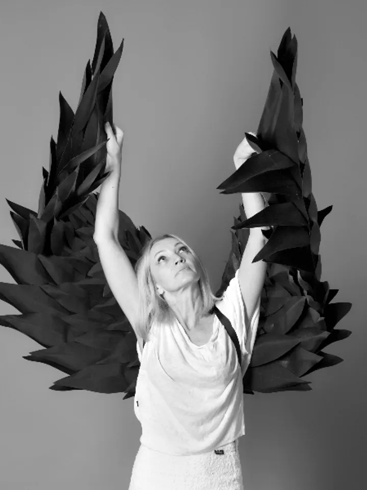 Black wings demon, cosplay wings, angel wings costume, wings photo prop, angel wings adult, devil angel, Wings for Men