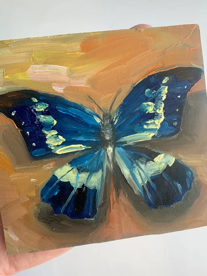 Butterfly