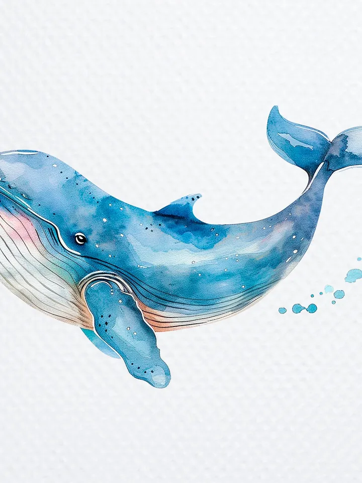 14 Cartoon Whale PNG Clipart, Whale Illustration, Printable Watercolor  Cartoon Whale png for sublimation, Whale  Paper craft, junk journal