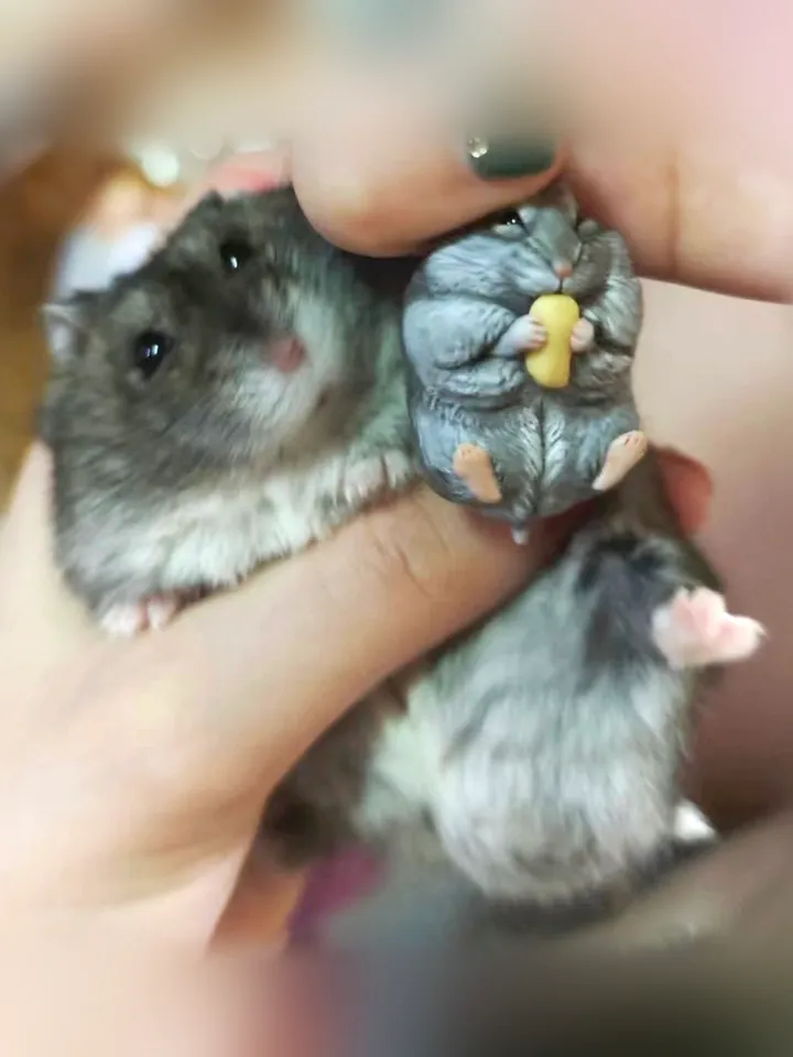 Custom hamster necklace