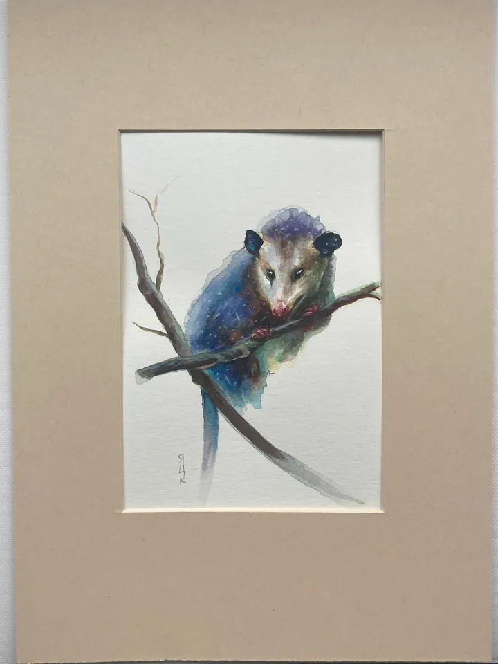 Opossum Painting Original Watercolor Painting Gift Small Animal Art Opossum Illustration Witchy Animals
