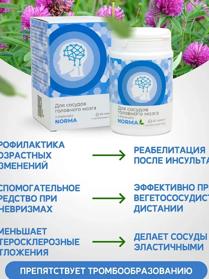 Granules Ognevka Norma. Touch Zhiva. For cerebral vessels, from pressure, venotonic 60 pcs.