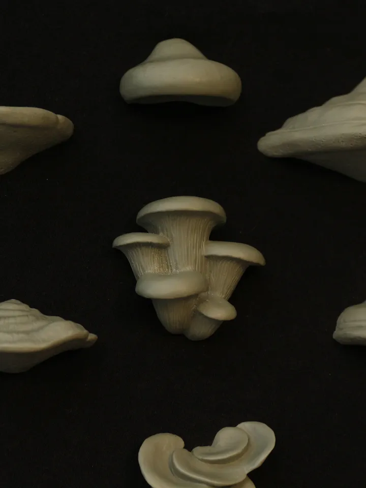 Set of 13 Magnets of Mushrooms (Unpainted)