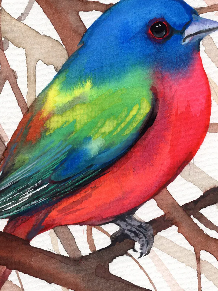 The painted oatmeal cardinal original watercolor, birds painting, handmade wall decor, 5x7 in art for bird lovers by Anne Gorywine