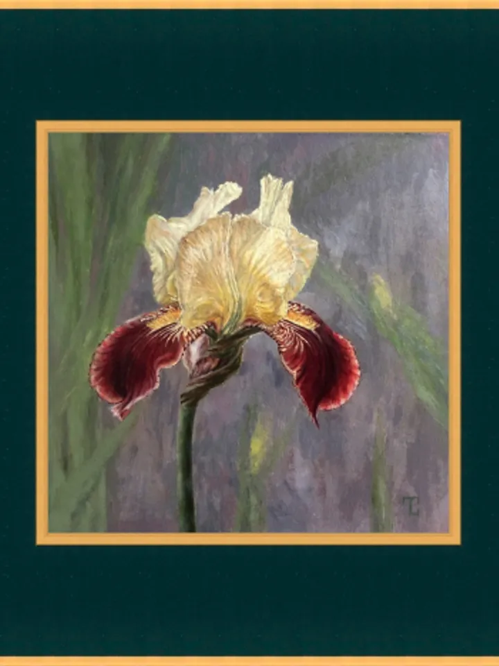 "Iris" oil small painting flower stilllife original wall art picture artwork floral