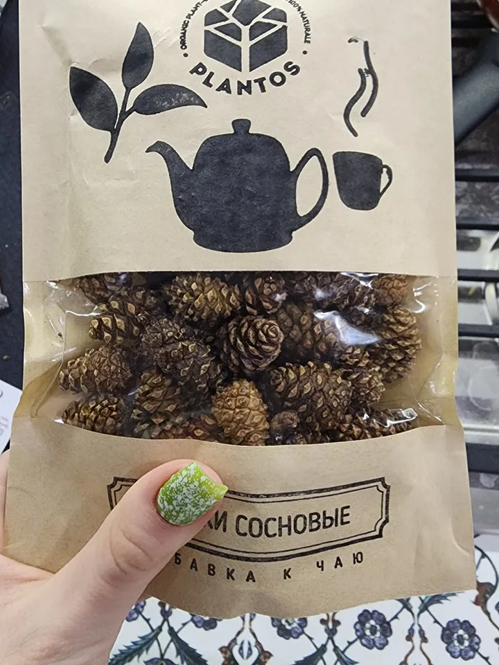 Pine cones useful additive to tea, coniferous aroma