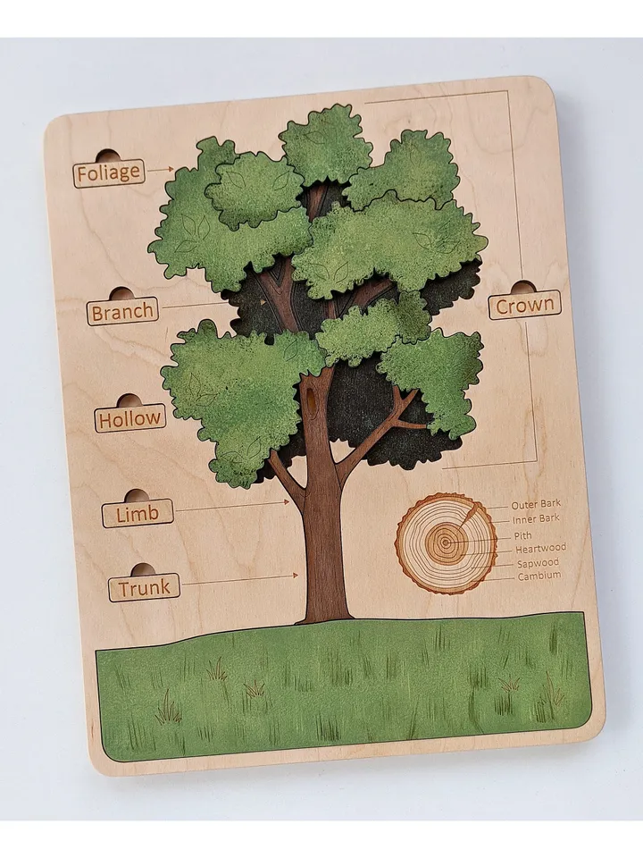 Wooden Tree structure puzzle Montessori Wooden puzzle science play