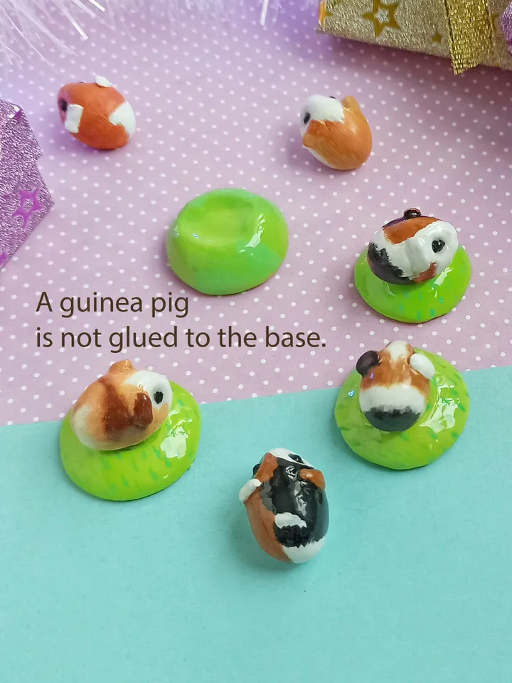 A guinea pig of random color from those shown (US discount)