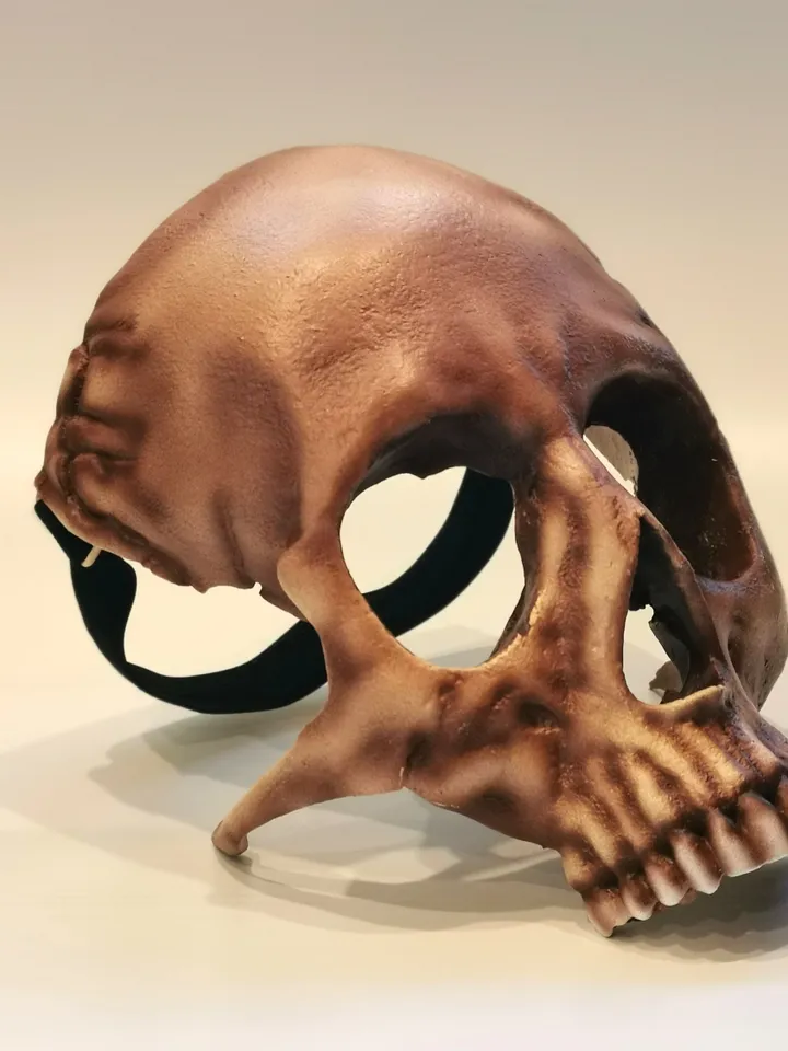 Human Skull Mask, Realistic face Mask, skull face mask, Horror Mask, resin skull mask, pagan mask, ritual mask, shamanic mask