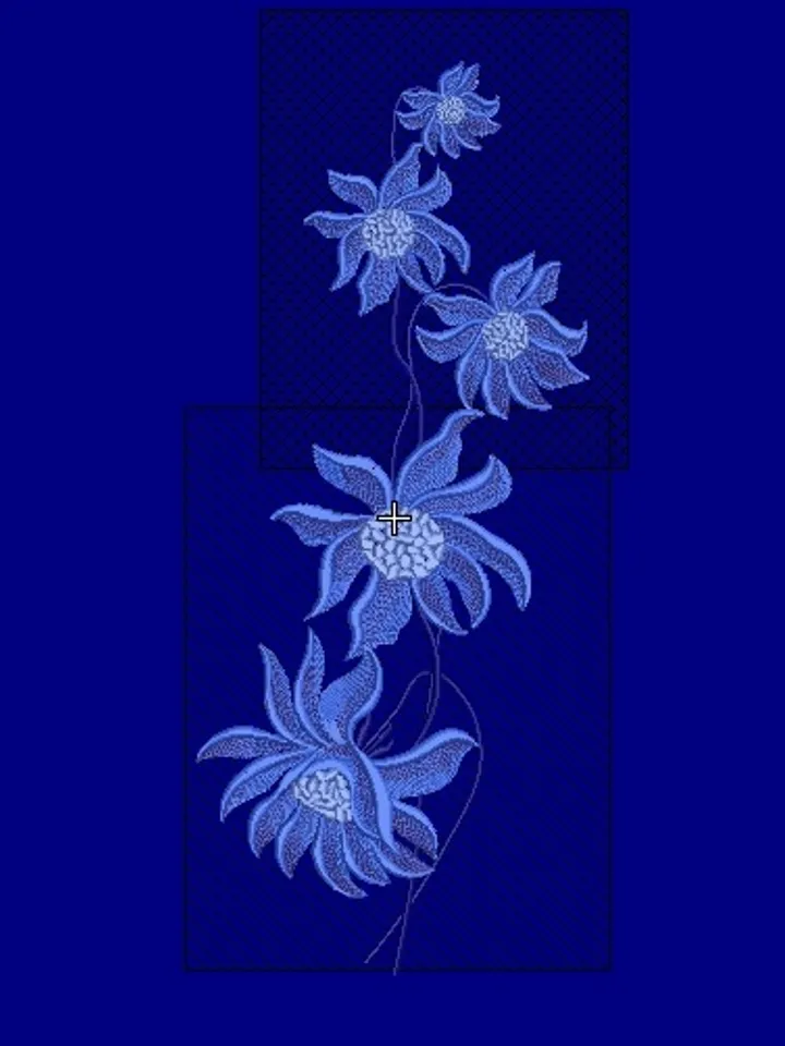 Chrysanthemum