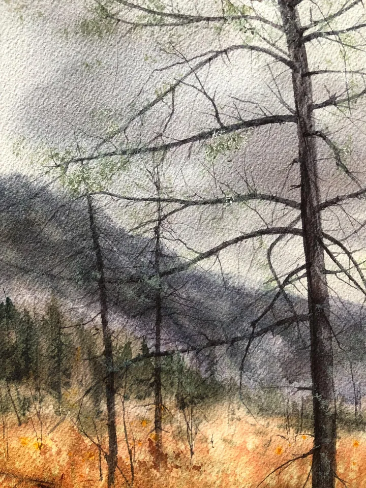 Forest Original Painting Trees Watercolor Wall Art Landscape