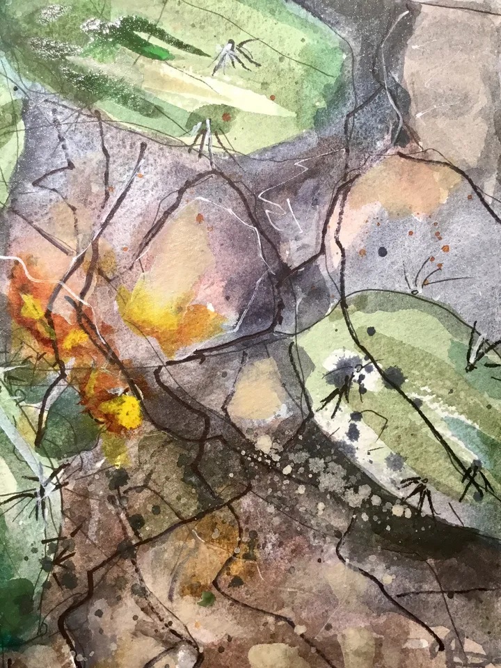 Cactus flower,original watercolour mix media painting on watercolour paper,original and prints available.