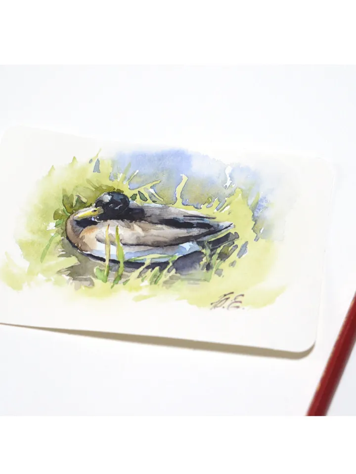 Small watercolor postcard Original duck painting by Yulia Evsyukova