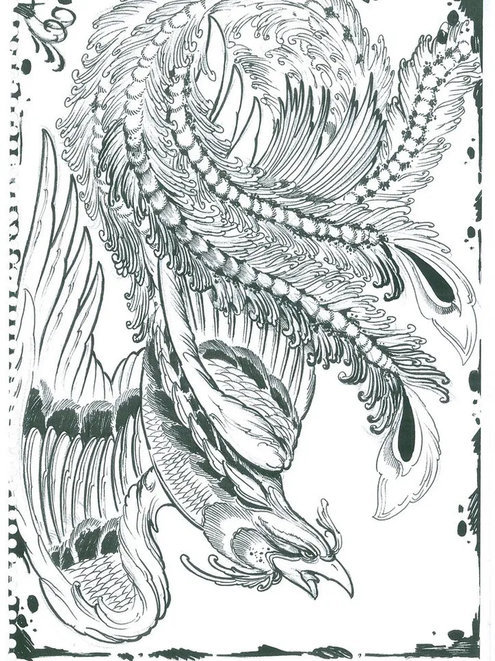 Bola sketchbook - Fenix