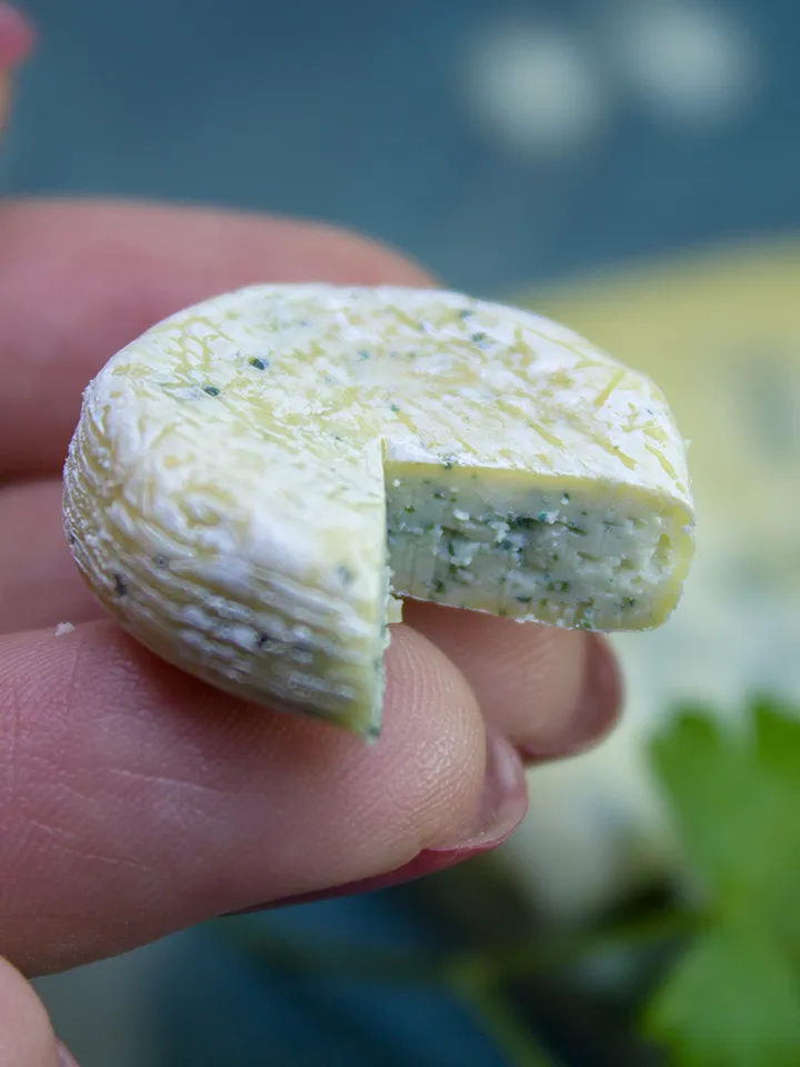 TUTORIAL Miniature blue cheese with polymer clay