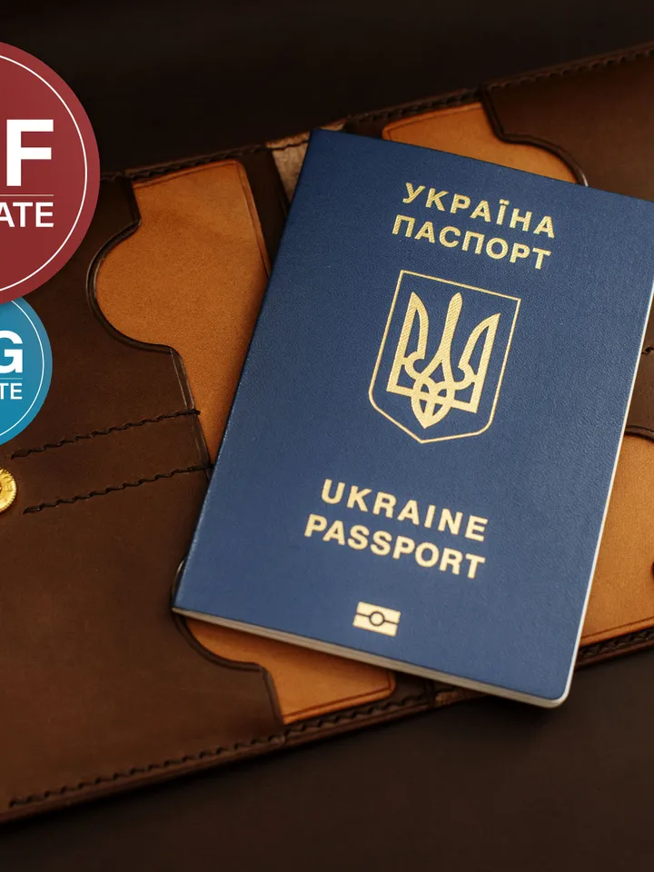 Leather Passport Wallet PDF Pattern: Travel Documents Holder SVG Template + Video