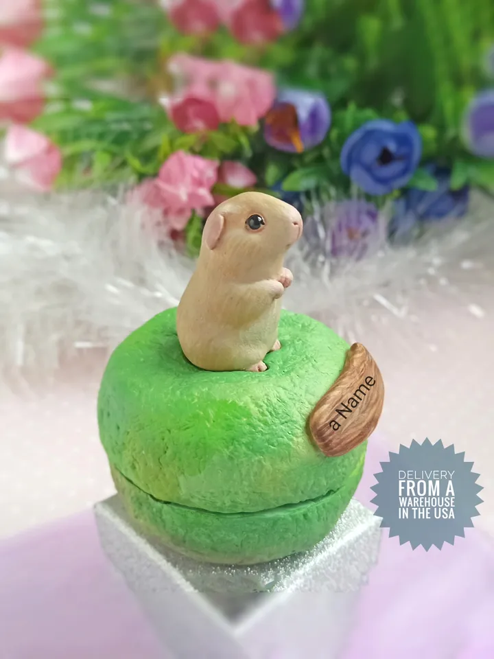 a Guinea pig ashes small URN (US discount)