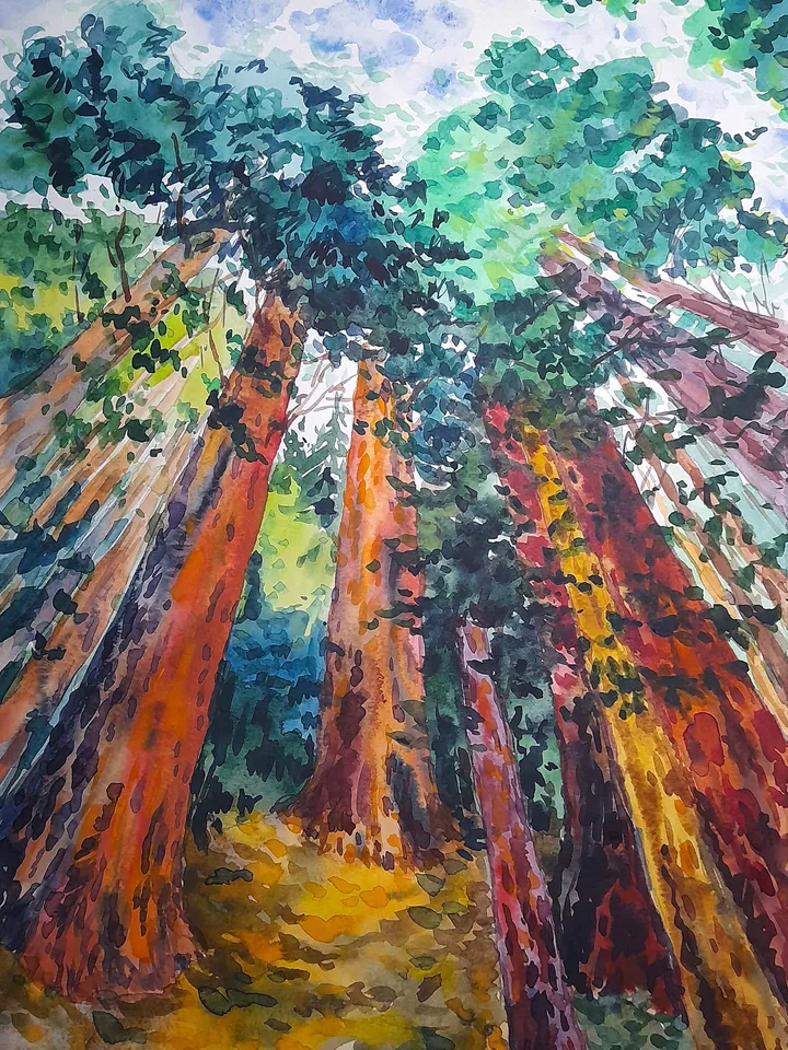 Redwood National Park Original Art Sequoia Painting Tree Wall Art California Artwork 16 by 11 Above Sofa Art by TatianaArtShop