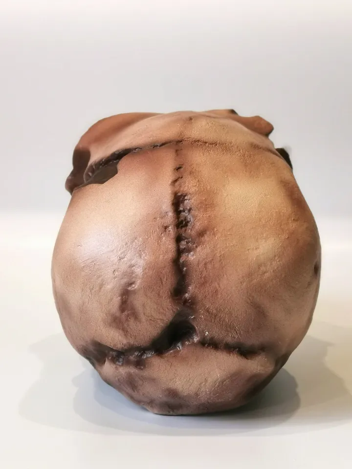 Homo Heidelbergensis Skull Replica, Prehistoric Fossil Collection, Realistic Hominid Skull, Museum Quality