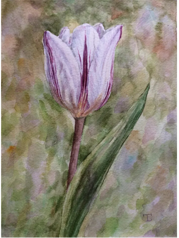"Tulip" Flower Original Wall Art Painting Watercolor Artwork, 15x20cm.