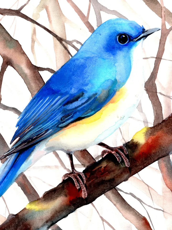 Mountain Bluebird Bird Watercolour, bird painting, wall decor, birds lover gift, 8x11 in handmade art by Anne Gorywine
