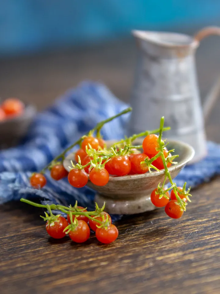 TUTORIAL Miniature polymer clay cherry tomato