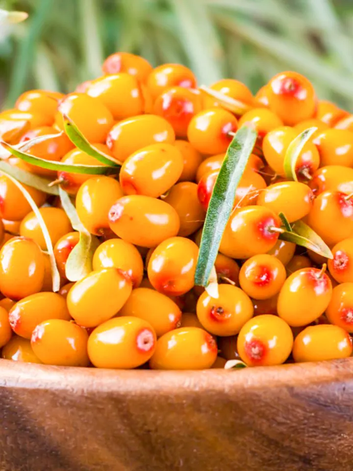 Wild Buckthorn Dried, 1000gr.(35.27oz)