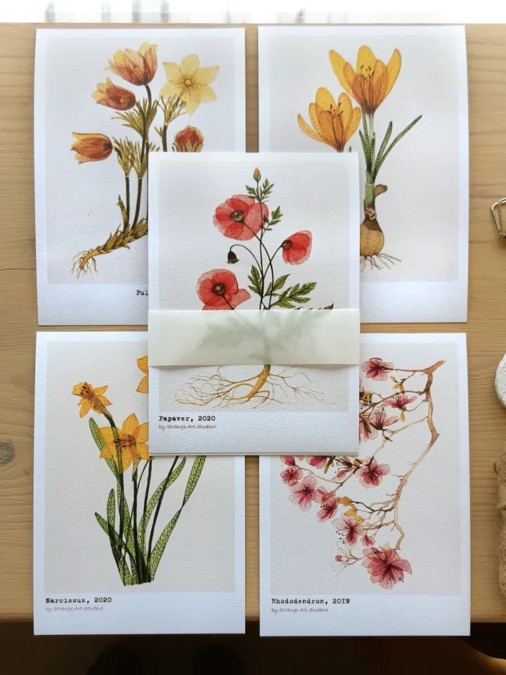 Postcards TRANSPARENT FLOWERS (gray), Set of 5 cards