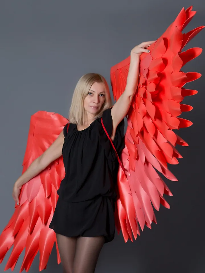 Christmas day costume, red angel wings, cosplay sexy, Valentines day gift, birthday party photo