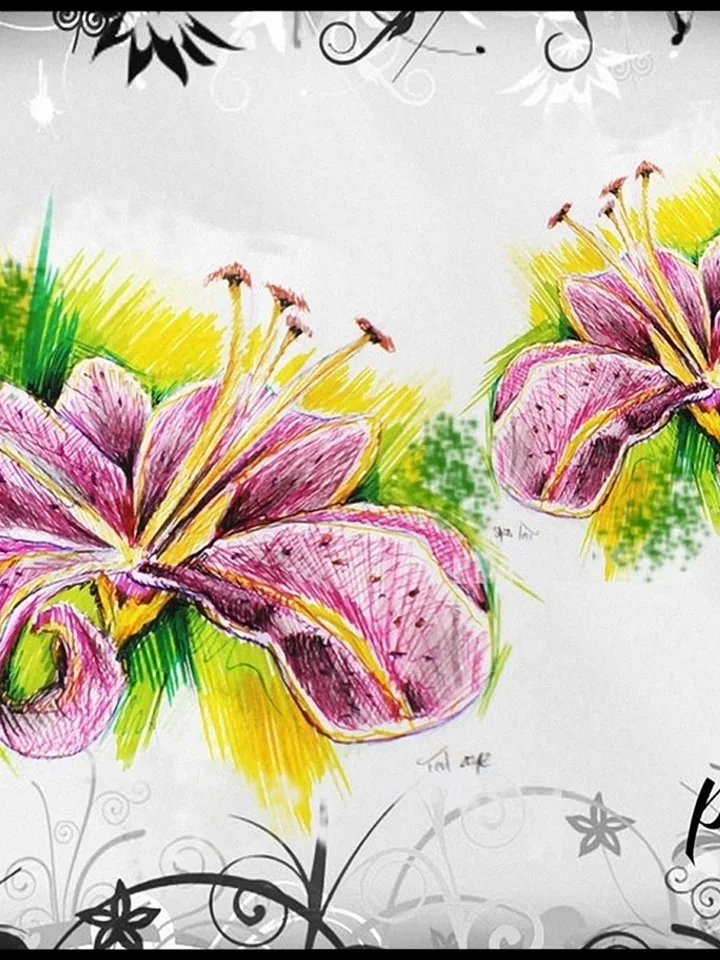 Ted Flowers & Ornamentic