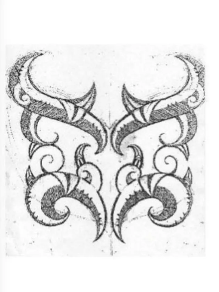 Shane Gallagher - Koru in lines