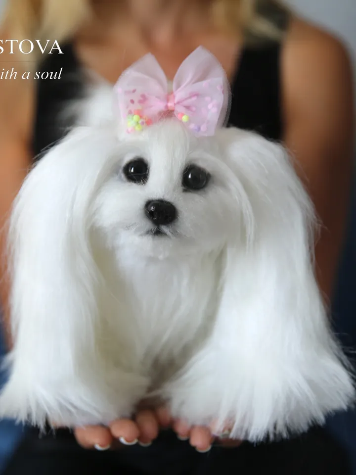 Pattern Dog | Realistic sewing toy pattern | Maltese dog | Stuffed Animals |Pattern with brief instruction for stitching