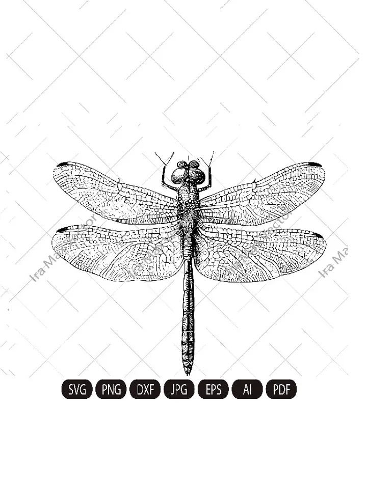 DRAGONFLY SVG, DRAGONFLY подробно, Dragonfly Svg Cut Files, Dragonfly Clipart, Svg-файлы насекомых