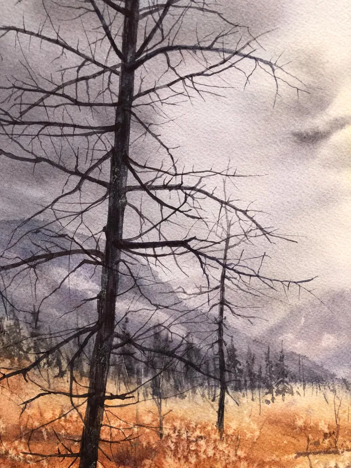 Forest Original Painting Landscape Trees Painting Field Wall Art