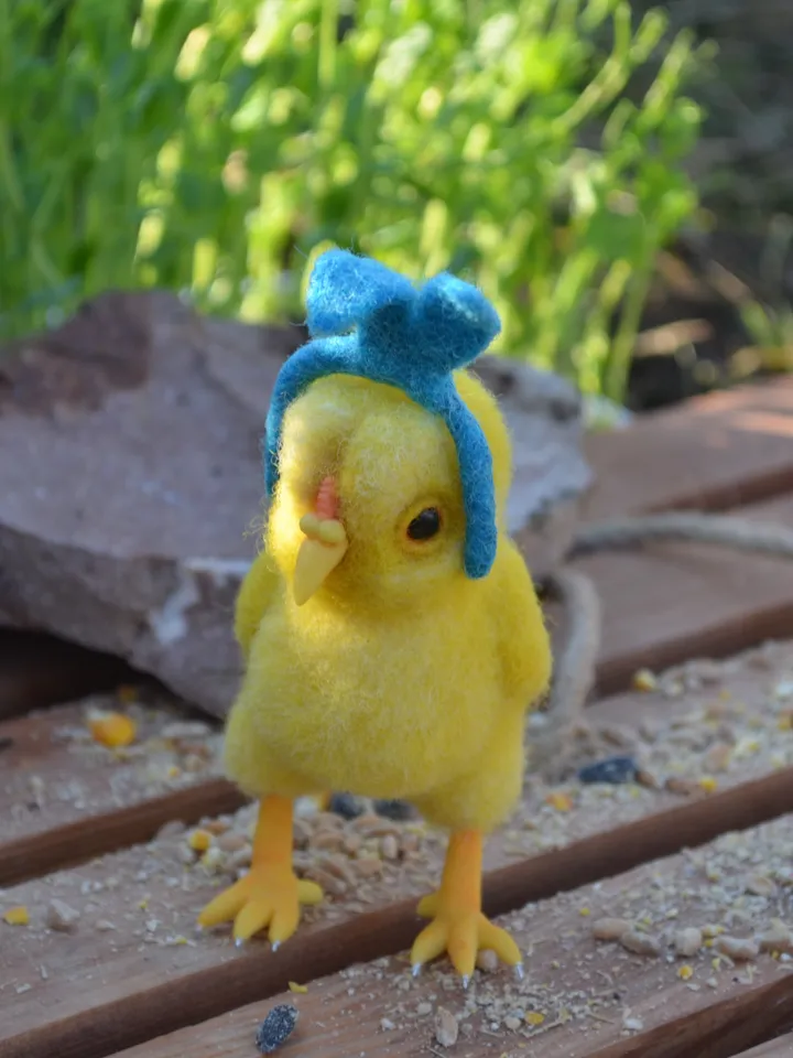 Chicken